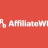 AffiliateWP-Pro-–-Create-Your-Own-Affiliate-Program-on-WordPress-–-Core-Plugin-900x457