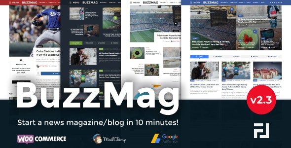 BuzzMag-Theme-1