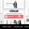 Claue-Theme