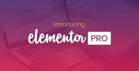 Elementor PRO