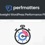 Perfmatters Plugin