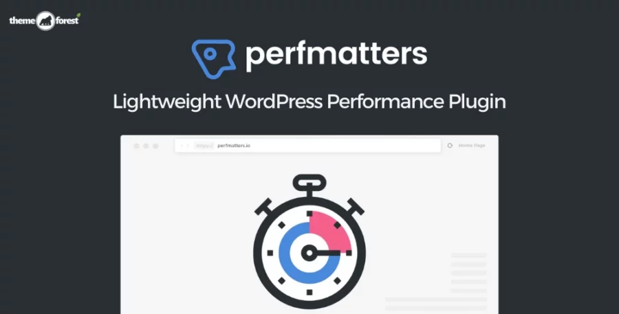 Perfmatters Plugin