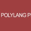 Polylang-Pro