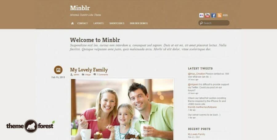 Themify-Minblr-WordPress-Theme-Activation-900x457