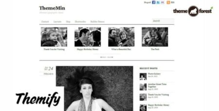 Themify-Thememin-WordPress-Theme-Activation-900x457