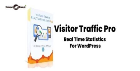 Visitor-Traffic-Real-Time-Statistics-Pro